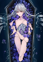 Rule 34 | 1girl, absurdres, amputee, broken, coffin, crack, doll, doll joints, flower, grey hair, highres, joints, original, quadruple amputee, red eyes, ribs, teizen (niwamaee), twintails, white hair