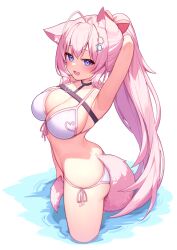 Rule 34 | 1girl, absurdres, animal ear fluff, animal ears, antenna hair, arm behind head, arm up, armpits, ass, bare arms, belt, bikini, black belt, black choker, blush, bow, breasts, chest belt, choker, cleavage, deaver, fang, front-tie bikini top, front-tie top, hair bow, hakui koyori, halterneck, heart, heart choker, heart print, hexagon hair ornament, highres, holding own tail, hololive, large breasts, long hair, looking at viewer, open mouth, pink bikini, pink hair, pink tail, pink trim, ponytail, purple eyes, red bow, side-tie bikini bottom, sideboob, simple background, smile, solo, string bikini, swimsuit, tail, thighs, virtual youtuber, wading, white background, wolf ears, wolf girl, wolf tail