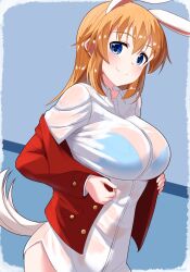 Rule 34 | 1girl, absurdres, animal ears, blazer, blue background, blue bra, blue eyes, blush, bra, bra visible through clothes, breasts, charlotte e. yeager, closed mouth, highres, hiroshi (hunter-of-kct), jacket, large breasts, long hair, looking at viewer, orange hair, rabbit ears, rabbit tail, red jacket, see-through, shirt, simple background, smile, solo, strike witches, tail, underwear, wet, wet clothes, wet shirt, white shirt, world witches series