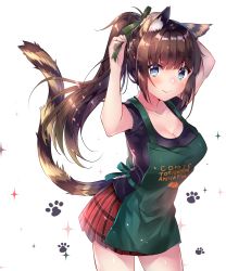 Rule 34 | 1girl, animal ear fluff, animal ears, apron, black shirt, blue eyes, blush, breasts, brown hair, cat ears, cat girl, cat tail, cleavage, closed mouth, clothes writing, collarbone, commentary request, cowboy shot, green apron, green ribbon, hair ribbon, highres, large breasts, long hair, looking at viewer, original, plaid, plaid skirt, pleated skirt, ponytail, print apron, red skirt, ribbon, shirt, short sleeves, simple background, skirt, smile, solo, sparkle, tail, usagihime, very long hair, white background