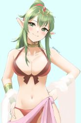 Rule 34 | 1girl, bikini, blue background, blush, bracelet, breasts, choker, cleavage, fire emblem, fire emblem heroes, front-tie bikini top, front-tie top, green eyes, green hair, hands on own hips, jewelry, large breasts, long hair, looking at viewer, navel, nintendo, pointy ears, ponytail, red bikini, skeptycally, smile, solo, swimsuit, tiki (adult) (fire emblem), tiki (adult) (summer) (fire emblem), tiki (fire emblem), twitter username