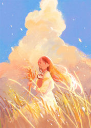 Rule 34 | 1girl, animal, barley, bird, blue sky, brown eyes, brown hair, carrying, closed mouth, cloud, cumulonimbus cloud, dress, highres, holding, holding animal, long hair, original, penguin, scenery, sky, smile, standing, sunset, tabi (tabisumika), white dress