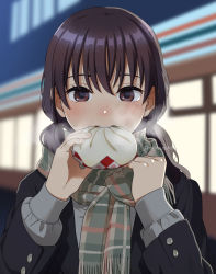 Rule 34 | 1girl, backlighting, baozi, black jacket, blush, brown eyes, brown hair, commentary request, eating, food, fringe trim, green scarf, holding, holding food, jacket, long hair, long sleeves, looking at viewer, low twintails, mattaku mousuke, nose blush, open mouth, original, outdoors, plaid, plaid scarf, scarf, solo, steam, teeth, twintails, twitter username, upper body, upper teeth only