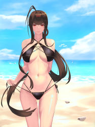 Rule 34 | 1girl, absurdres, antenna hair, arm behind back, bare shoulders, beach, bikini, black bikini, black ribbon, blue sky, braid, breasts, brown hair, cleavage, closed mouth, collarbone, commentary request, criss-cross halter, cross-laced clothes, day, dsr-50 (girls&#039; frontline), girls&#039; frontline, halterneck, highleg, highleg bikini, highres, horizon, korean commentary, large breasts, long hair, looking at viewer, multi-strapped bikini, navel, ocean, red eyes, ribbon, seashell, shell, side-tie bikini bottom, sidelocks, sky, smile, solo, stomach, swimsuit, un lim, untied bikini, very long hair, water