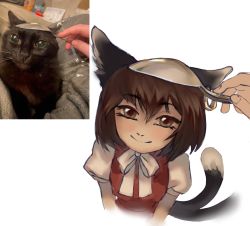 Rule 34 | 1girl, animal ears, brown eyes, brown hair, cat, cat ears, cat tail, chen, closed mouth, earrings, highres, jewelry, looking at viewer, multiple tails, photo-referenced, reference inset, short hair, short sleeves, simple background, single earring, smile, solo focus, spoon, tail, touhou, two tails, upper body, white background, yuuren kyouko