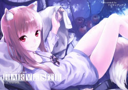 Rule 34 | 1girl, animal ears, apple, bad id, bad twitter id, blush, brown hair, cover, food, fruit, holo, jewelry, kawakami rokkaku, long hair, looking at viewer, md5 mismatch, pendant, red eyes, resized, smile, solo, spice and wolf, tail, wolf ears, wolf tail