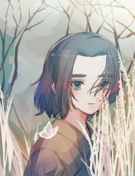 Rule 34 | 1boy, aged down, black hair, blue eyes, grass, hair over one eye, looking at viewer, medium hair, plant, solatky, solo, luo xiaohei zhanji, tree, upper body, wuxian (the legend of luoxiaohei)