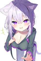 Rule 34 | +++, 1girl, :3, animal ear fluff, animal ears, black hoodie, breasts, cat ears, cat girl, cat tail, cleavage, commentary request, feet out of frame, hair between eyes, hand up, highres, hololive, hood, hoodie, large breasts, leaning forward, long sleeves, looking at viewer, medium hair, nekomata okayu, nekomata okayu (1st costume), nokisaki nibosi, open mouth, outstretched arm, pants, purple eyes, purple hair, reaching, reaching towards viewer, sidelocks, simple background, smile, solo, standing, sweatpants, tail, virtual youtuber, white background, white pants