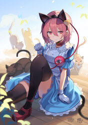 Rule 34 | 1girl, alternate costume, animal, animal ears, apron, arm support, black cat, black hairband, black thighhighs, blue butterfly, blue dress, blue sky, blurry, blurry foreground, brown cat, buckle, bug, butterfly, cat, cat ears, clenched hand, closed mouth, cloud, collar, collared dress, commentary, dress, eyeball, fake animal ears, falken (yutozin), feet out of frame, frilled apron, frilled dress, frills, gloves, hair between eyes, hair ornament, hairband, hand up, heart, heart hair ornament, highres, insect, komeiji satori, leaf, leg up, light blush, on floor, open mouth, orange eyes, outstretched arm, outstretched leg, paw pose, paw print, photoshop (medium), pink hair, plant, puffy short sleeves, puffy sleeves, red collar, red eyes, red footwear, revision, short hair, short sleeves, sideways glance, sitting, sky, sleeping, slit pupils, solo, stretching, thighhighs, third eye, touhou, wavy mouth, white apron, white gloves, yellow butterfly, yellow cat, yellow eyes, zettai ryouiki