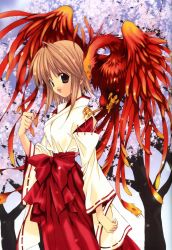 Rule 34 | 1girl, :d, brown hair, cherry blossoms, hakama, hakama skirt, highres, japanese clothes, miko, nanase aoi, open mouth, original, red hakama, seven colors of the wind, short hair, skirt, smile, solo