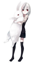Rule 34 | 1girl, absurdres, albino, animal, black skirt, black thighhighs, commentary request, full body, hair between eyes, highres, holding, holding animal, long hair, looking at viewer, no shoes, ogami ren, original, parted lips, rabbit, red eyes, shirt, simple background, skirt, sleeves rolled up, solo, standing, thighhighs, vest, white background, white hair, white shirt