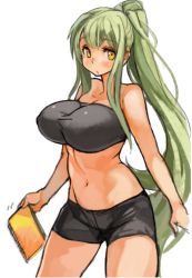 Rule 34 | 1girl, bandeau, blush, breasts, cleavage, female focus, green hair, groin, holding, large breasts, long hair, looking at viewer, midriff, navel, notebook, original, ponytail, sachito, short shorts, shorts, sidelocks, simple background, solo, standing, strapless, sumi-chan (sachito), tube top, very long hair, white background, yellow eyes