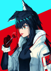 Rule 34 | 1girl, :p, absurdres, animal ear fluff, animal ears, arknights, black hair, black sweater, blue background, brown eyes, candy, commentary, english commentary, food, fur-trimmed jacket, fur trim, gloves, hair between eyes, hand up, highres, holding, holding food, jacket, lollipop, multicolored hair, official alternate costume, red background, red gloves, red hair, ribbed sweater, saliva, saliva trail, solo, sweater, texas (arknights), texas (winter messenger) (arknights), tongue, tongue out, turtleneck, turtleneck sweater, two-tone background, upper body, white jacket, wolf ears, yurver