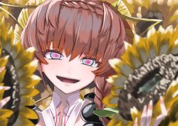 Rule 34 | 1girl, blurry, blurry foreground, braid, brown hair, crazy eyes, fate/grand order, fate (series), flower, gradient eyes, ifuji shinsen, multicolored eyes, portrait, smile, solo, striped clothes, striped headwear, sunflower, van gogh (fate)