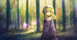 Rule 34 | 1girl, :o, arms at sides, bad id, bad pixiv id, blonde hair, bug, butterfly, cowboy shot, day, dress, expressionless, forest, grass, hair between eyes, hat, highres, insect, lanreta, light particles, long sleeves, looking at viewer, maribel hearn, medium hair, mob cap, nature, outdoors, purple dress, purple eyes, red neckwear, red ribbon, ribbon, solo, touhou, wide sleeves
