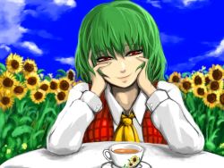 Rule 34 | 1girl, ascot, blue sky, closed mouth, cloud, commentary request, cup, day, field, flower, flower field, garden of the sun, ginji (sakaki summer), green hair, hands on own face, kazami yuuka, long sleeves, looking at viewer, outdoors, plaid, plaid vest, pov across table, red eyes, red vest, saucer, shirt, short hair, sky, smile, solo, sunflower, sunflower field, table, teacup, touhou, upper body, vest, white shirt, yellow ascot