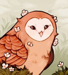 Rule 34 | animal focus, artist name, barn owl, beak, bird, black eyes, cloud, cloudy sky, commentary, day, english commentary, flower, grass, looking at viewer, no humans, notice lines, original, outdoors, owl, petals, sky, solid eyes, spicymochi, watermark, white flower