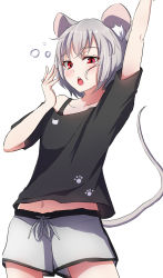 Rule 34 | 1girl, alternate costume, animal ears, arm up, black bra, black shirt, blush, bra, buck teeth, chestnut mouth, collarbone, cowboy shot, grey hair, highres, midriff, mouse ears, mouse girl, mouse tail, navel, nazrin, off-shoulder shirt, off shoulder, open mouth, paw print, red eyes, ribbon, shimotsuki aoi, shirt, short hair, short sleeves, shorts, solo, squeans, tail, tears, teeth, touhou, underwear, white ribbon, white shorts, yawning