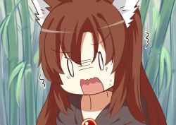 Rule 34 | 0 0, 1girl, animal ears, bamboo, bamboo forest, brown hair, forest, imaizumi kagerou, japa, long hair, nature, solo, touhou, wolf ears