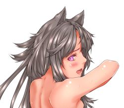 Rule 34 | 1girl, animal ears, bad id, bad pixiv id, blush, close-up, ewokaku kitsune, eyelashes, from behind, grey hair, long hair, looking at viewer, looking back, nape, nude, open mouth, original, pink eyes, shiny skin, shoulder blades, simple background, solo, spine, water, water drop, wet, white background