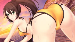 Rule 34 | 1girl, all fours, ass, back, beach, bikini, black hair, blush, breasts, cameltoe, from behind, game cg, green eyes, icari isidolde, long hair, medium breasts, outdoors, ponytail, sky, spread legs, sunrider, sunrider liberation day, sunset, sweat, swimsuit, tears, uncensored, very long hair, water