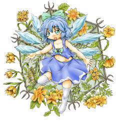 Rule 34 | 1girl, bare arms, blue eyes, blue hair, cirno, eyebrows, fang, flower, hair ribbon, hexagon, highres, leaf, looking at viewer, matching hair/eyes, midriff, navel, no shoes, open mouth, over-kneehighs, plant, ribbon, short hair, skirt, skirt set, solo, thighhighs, touhou, trellis, vines, white background, white thighhighs, wings, ys (ytoskyoku-57)