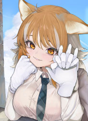 Rule 34 | alternate costume, blue neckwear, blush, collared shirt, disembodied hand, dnsdltkfkd, fang, gloves, highres, holding hands, italian wolf (kemono friends), kemono friends, light brown hair, long hair, long sleeves, looking at viewer, multicolored hair, necktie, orange eyes, plaid neckwear, pov, shirt, two-tone hair, white gloves, white hair, white shirt