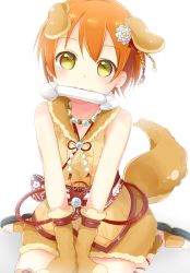 Rule 34 | 1girl, :3, animal costume, animal ears, animal hands, backlighting, bad id, bad twitter id, blush, bone, dog costume, dog ears, dog tail, flower, gloves, green eyes, hair flower, hair ornament, hands on lap, highres, hoshizora rin, kanzashi, kemonomimi mode, looking at viewer, love live!, love live! school idol festival, love live! school idol project, mouth hold, orange hair, paw gloves, pimi (ringsea21), sandals, sash, short hair, simple background, sitting, sleeveless, solo, tail, white background