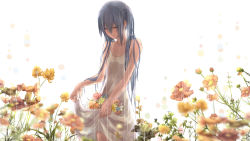 Rule 34 | 1girl, bad id, bad pixiv id, blue hair, capsulemarket88, dress, flower, hair between eyes, hatsune miku, outdoors, rain, skirt hold, solo, twintails, vocaloid, wet, wet hair, white background
