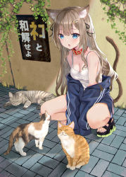 Rule 34 | 1girl, akino ell, animal, animal ear fluff, animal ears, bare legs, bare shoulders, basketweave, between legs, blue eyes, blue jacket, breasts, cat, cat ears, cat girl, cat tail, cleavage, collar, full body, hair ornament, hairclip, highres, jacket, long sleeves, medium breasts, off shoulder, open clothes, open jacket, open mouth, original, sandals, sett, shirt, sleeveless, sleeveless shirt, solo, squatting, tail, translation request, white shirt