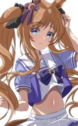 Rule 34 | 1girl, 96dai 0313, absurdres, alternate costume, alternate hairstyle, animal ears, blue eyes, bow, brown hair, closed mouth, commentary request, cowboy shot, cropped shirt, ear ornament, grass wonder (umamusume), highres, horse ears, horse girl, horse tail, long hair, looking at viewer, navel, purple bow, purple shirt, sailor collar, shirt, short sleeves, simple background, smile, solo, tail, twintails, umamusume, white background