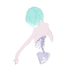 Rule 34 | 1other, bad id, bad pixiv id, bare shoulders, blue hair, blue nails, ears visible through hair, from behind, hip bones, houseki no kuni, kohaku 989, looking down, nail polish, nude, other focus, phosphophyllite, ribs, short hair, simple background, skeleton, solo, spine, upper body, white background