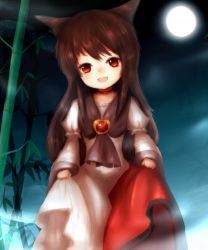 Rule 34 | 1girl, :d, amano jack, animal ears, bad id, bad pixiv id, bamboo, brown hair, clothes lift, dress, dress lift, fang, full moon, highres, imaizumi kagerou, jewelry, long hair, moon, neckerchief, night, open mouth, red eyes, smile, touhou, wolf ears