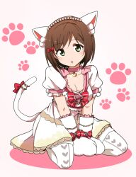 Rule 34 | 1girl, animal ears, animal hands, arms between legs, blush, bow, bowtie, breasts, brown hair, cat ears, cat necklace, cat paws, cat tail, choker, cleavage, collarbone, dot nose, dress, fake animal ears, fake tail, flower, footprints, frilled dress, frills, green eyes, hair ribbon, hairband, highres, idolmaster, idolmaster cinderella girls, idolmaster cinderella girls starlight stage, kidachi, large breasts, looking at viewer, maekawa miku, open mouth, pink background, pink choker, pink flower, pink rose, pom pom (clothes), print thighhighs, puffy short sleeves, puffy sleeves, red bow, red bowtie, red ribbon, ribbon, rose, seiza, short hair, short sleeves, sitting, solo, striped bow, striped bowtie, striped clothes, tail, thighhighs, white thighhighs