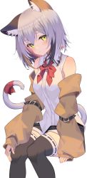 Rule 34 | 1girl, absurdres, animal ear fluff, animal ears, bare shoulders, belt, black belt, black thighhighs, brown sleeves, cat ears, cat girl, cat tail, closed mouth, commentary request, detached sleeves, highres, jun (aousa0328), light smile, looking at viewer, original, red neckwear, red ribbon, ribbon, shirt, short hair, silver hair, simple background, sleeveless, sleeveless shirt, solo, tail, tail ornament, tail ribbon, thighhighs, white background, white shirt, yellow eyes