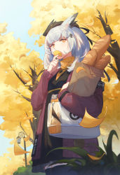 Rule 34 | 1girl, against railing, animal ears, arknights, autumn leaves, bag, baguette, beret, black dress, black hat, black thighhighs, bread, breasts, covering own mouth, day, dress, food, ginkgo leaf, grey hair, hair ornament, handbag, hat, highres, jacket, jewelry, lamppost, leaf, long sleeves, looking at viewer, medium hair, mie lu, outdoors, paper bag, pendant, ptilopsis (arknights), ptilopsis (serenity) (arknights), railing, red jacket, small breasts, solo, standing, sweater, thighhighs, tree, turtleneck, turtleneck sweater, yellow eyes, yellow sweater