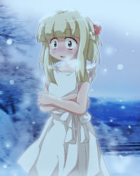Rule 34 | 1girl, blonde hair, cold, crossed arms, shishinon, snow, solo