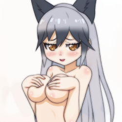 Rule 34 | 1girl, animal ears, blush, breasts, cleavage, collarbone, covering privates, covering breasts, embarrassed, extra ears, fox ears, fox girl, kemono friends, large breasts, long hair, looking at viewer, nude, open mouth, silver fox (kemono friends), silver hair, simple background, solo, t jiroo (ringofriend), white background, yellow eyes
