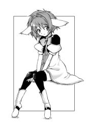 Rule 34 | 00s, 1girl, animal ears, blackheart, cat ears, full body, galaxy angel, greyscale, looking at viewer, mint blancmanche, monochrome, puffy short sleeves, puffy sleeves, short hair, short sleeves, simple background, sitting, solo, thighhighs, white background