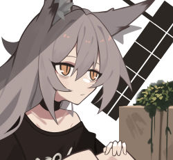 Rule 34 | 1girl, absurdres, animal ears, black choker, black shirt, choker, commentary, english commentary, ghost (tama), grey hair, hair between eyes, hand on own knee, highres, long hair, looking ahead, off shoulder, original, parted lips, plant, shirt, solo, upper body, wolf ears, wolf girl, yellow eyes