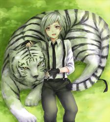Rule 34 | 10s, 1boy, animal, black gloves, bungou stray dogs, fingerless gloves, gloves, liu chun-ling, male focus, multicolored eyes, nakajima atsushi (bungou stray dogs), necktie, open mouth, purple eyes, silver hair, smile, suspenders, tail, tiger, yellow eyes