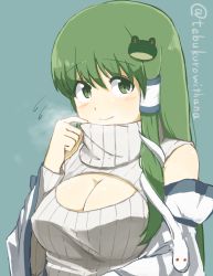 Rule 34 | 1girl, adapted costume, animal print, bad id, bad pixiv id, breasts, cleavage, cleavage cutout, clothing cutout, detached sleeves, flying sweatdrops, frog print, green eyes, green hair, hair ornament, kochiya sanae, large breasts, long sleeves, looking at viewer, matching hair/eyes, meme attire, open-chest sweater, ribbed sweater, smile, snake hair ornament, solo, sweater, tebukuro withana, touhou, turtleneck, twitter username, upper body, wide sleeves