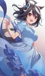 Rule 34 | 1girl, :d, ahoge, animal ears, black hair, blue dress, bob cut, dress, flower, flower ornament, from side, hair flower, hair ornament, hair ribbon, highres, horse ears, horse girl, horse tail, kitasan black (umamusume), kuze kaname, looking at viewer, looking to the side, multicolored hair, open mouth, puffy short sleeves, puffy sleeves, red eyes, red ribbon, ribbon, short hair, short sleeves, smile, solo, streaked hair, tail, two-tone hair, umamusume, white hair