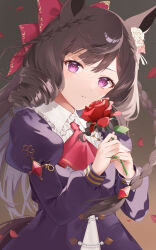 Rule 34 | 1girl, animal ears, ascot, black hair, bow, collared dress, commentary request, daiichi ruby (umamusume), dress, drill hair, drill sidelocks, flower, frilled shirt collar, frills, hair bow, hair flower, hair ornament, highres, holding, holding flower, horse ears, horse girl, horse tail, juliet sleeves, long hair, long sleeves, looking at viewer, nobell (bell no5), own hands together, parted lips, petals, puffy sleeves, purple dress, purple eyes, red ascot, red bow, red flower, red rose, rose, rose petals, sidelocks, solo, tail, umamusume, very long hair, white flower, white rose