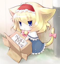 Rule 34 | 1girl, :&lt;, alice margatroid, animal ears, blonde hair, blue eyes, bow, box, capelet, cardboard box, cat ears, cat girl, cat tail, chibi, female focus, for adoption, jitome, kemonomimi mode, short hair, solo, tail, tail bow, tail ornament, touhou, translated, tsukasaki aoi