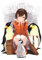 Rule 34 | 1girl, 3others, animal, bag, bird, blush, braid, brown hair, closed mouth, commentary request, dated, emperor penguin, full body, hair between eyes, hand on own chin, head rest, jacket, kantai collection, long hair, long sleeves, looking at viewer, multiple others, n:go, orange eyes, orange jacket, orange shirt, pantyhose, penguin, pleated skirt, shirt, simple background, single braid, sitting, skirt, smile, souya (kancolle), white background, white pantyhose, white skirt