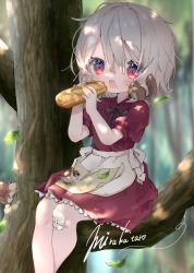 Rule 34 | 1girl, animal, animal on shoulder, apron, bandaid, bandaid on knee, bandaid on leg, bird, blurry, blurry background, blush, bread, child, collared dress, commentary, commission, crossed legs, crumbs, dress, fangs, feet out of frame, flat chest, food, food on face, forest, hair between eyes, highres, holding, holding food, knees, lace, lace-trimmed dress, lace trim, looking at viewer, maid apron, medium hair, messy hair, mirukutarou, nature, open mouth, original, outdoors, pink hair, red dress, red eyes, short sleeves, signature, sitting, sitting on branch, skeb commission, sleeve cuffs, squirrel, tree, wrinkled fabric