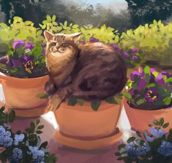 Rule 34 | :&lt;, animal focus, backlighting, blue flower, cat, closed mouth, closed eyes, flower, full body, highres, kay (kf1n3), no humans, original, photo-referenced, plant, potted plant, purple flower, sitting, solo