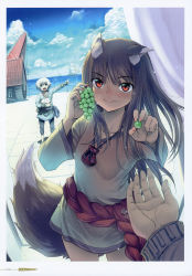 Rule 34 | 1boy, 1girl, absurdres, animal ears, black pants, blue shirt, bottomless, brown hair, brown shirt, closed mouth, collarbone, fang, fang out, floating hair, food, fruit, highres, holding, holding food, holding fruit, holo, index finger raised, koume keito, long hair, long sleeves, looking at viewer, naked shirt, no pants, ocean, official art, outstretched arm, page number, pants, pouch, rabbit, red eyes, scan, ship, shirt, silver hair, smile, spice and wolf, tail, tote col, very long hair, watercraft, wolf ears, wolf tail
