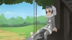 Rule 34 | 10s, 1girl, bird tail, blue sky, building, closed mouth, cloud, coat, day, feathers, fur trim, gradient hair, grass, grey coat, grey hair, grey pantyhose, hair between eyes, head wings, highres, kemono friends, long sleeves, looking away, looking to the side, multicolored hair, northern white-faced owl (kemono friends), outdoors, paintrfiend, pantyhose, path, pom pom (clothes), road, rope, shoes, short hair, sitting, sky, solo, striped tail, tail, tree, tree shade, under tree, wings, yellow eyes, yellow footwear